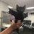 strong-cat